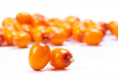 Video about Sea Buckthorn